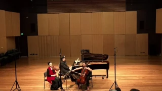 Felix Mendelssohn - Piano Trio No. 1 in D minor, Op. 49, 1st movt. メンデルスゾーン：ピアノ三重奏第一番ニ短調Op.49、第一楽章