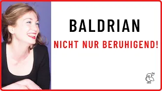 ✅BALDRIAN WIRKUNG✅ 5 Vorteile, die du kennen solltest!