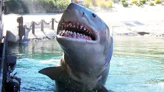 JAWS Encounter - Universal Studios Hollywood Tram Tour, Amity Island - December 2022