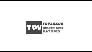 TdV - Electro House Mix MAY 2013