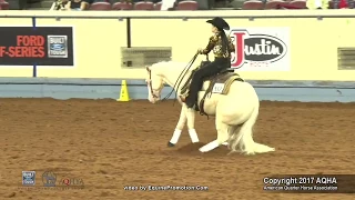 2017 AQHYA Reining