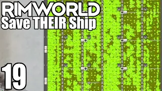 Rimworld: Save THEIR Ship #19 - Ascended Archomatter Farm