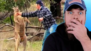 An Australian Explains Australia to Dumb Americans