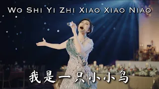 Wo Shi Yi Zhi Xiao Xiao Niao 我是一只小小鸟 Helen Huang Live Performance - Lagu Mandarin Lirik Terjemahan