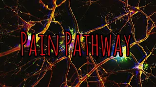 Prolonged Field Care Podcast 144:  Pain Pathway