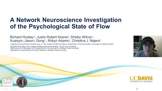 A Network Neuroscience Investigation of the Psychological State of Flow