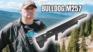 BULLDOG M257 Airgun Review: Power, Precision, Performance!