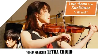 Love theme from Sunflower " I Girasoli "( by Henry Mancini) Violin Quartet TETRA CHORD