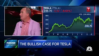 We're in the middle phases of the Tesla growth story, says Wedbush's Dan Ives