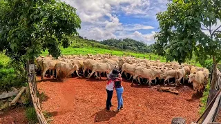 CHORO E EMOÇÃO 🙏 NÃO ESTAMOS ACREDITANDO MAIS UM SONHO REALIZADO