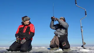 Офігеть, пройшли 5 км, щоб відчути удар судака! Зимова рибалка на морі!