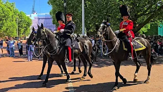 ONE IDIOT UPSETS THE POLICE during the Guard change, despite no King's Guard at Horse Guards!