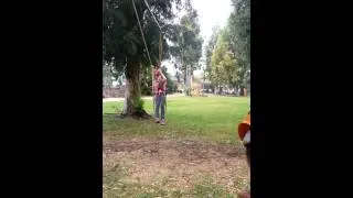 eden climbing swing