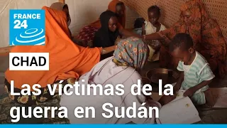 Niños sudaneses refugiados en Chad se enfrentan al trauma y la desnutrición