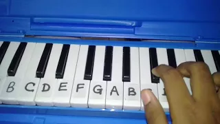 Shape of you song in a melodica