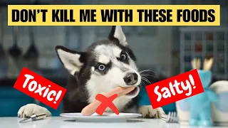 18 Human Food That Can Kill Your Dog | Avoid At All Cost 🐩