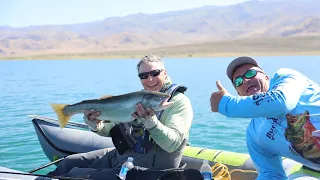 Float Tubes on Pyramid Lake - fly fishing for the biggest trout of your life in great weather!