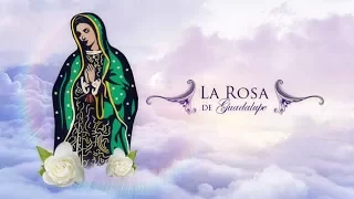 La Rosa De Guadalupe Dos Caras De Un Mismo Amor Parte 1/3