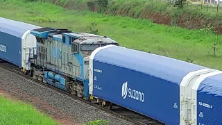 TERCEIRA LOCOMOTIVA, CELULOSE EM APARECIDA DO TABOADO.