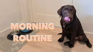 LABRADOR PUPPY'S MORNING ROUTINE!