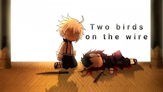 Two birds on the wire || Demon slayer [ ⚠️: spoiler ]
