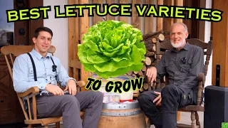 What Lettuce Varieties To Grow & How|World Record Gardener's Favorites 2024! Lettuce Growing Secrets