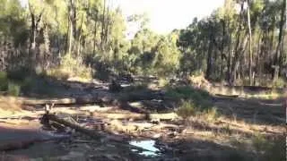 Poisoning Pilliga