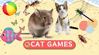 CAT GAMES - Yarn String, Mice, Butterflies, Videos for Cats to Watch | CAT TV | 1 Hour