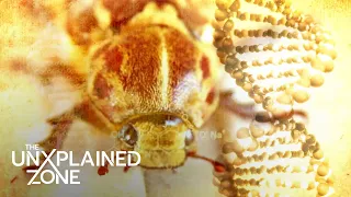 Insectoid Human TIME TRAVELS to Warn Everyone (S7) | Ancient Aliens | The UnXplained Zone