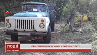 На Донеччині припинено незаконну вирубку лісу