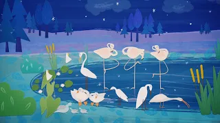 El cisne que ladra - Canciones para Soñar | Petits Habitants