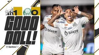 SANTOS 1 X 0 PALMEIRAS | GOL | PAULISTÃO (31/03/24)