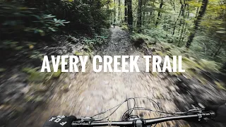 Pisgah National Forest - Avery Creek Trail // GNAR to the MAX
