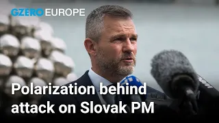 Why was Slovakia's Prime Minister attacked? | Europe In: 60