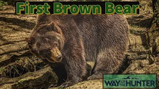 First time hunting brown bear (Way of the Hunter - ranger difficulty)