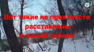 охота с собакой/петли