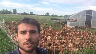 Rotating hens across 2 million sq. ft. of fresh pasture