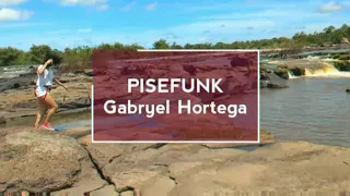 GABRYEL HORTEGA | PISEFUNK | Piseiro + BregaFunk | Coreografia