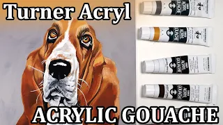 Playing with my new TURNER ACRYL GOUACHE // Basset Hound painting demo