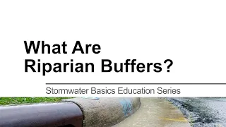 What is a Riparian Buffer? Stormwater Basics Education Series