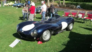 Jaguar D-Type's and XKSS's