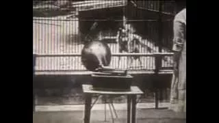 7 black & white silent films - B.H. Ford Motion Pictures