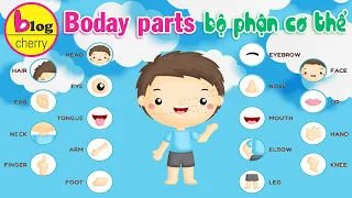 Body parts - Học từ vựng chủ đề bộ phận cơ thể bằng tiếng anh và tiếng việt cho trẻ em