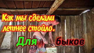 Как мы сделали летнее стойло. Для быков. Опорос свиньи.