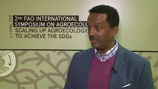 Million Belay illustrates how agroecology is helping countries in Africa work towards the SDGs