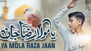 Mola Raza Jan Manqabat by Hussain Mehdi Nagri | Spiritual Recitation #manqabat