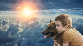 I met a dog I had before in heaven. He told me that he had fulfilled his mission.