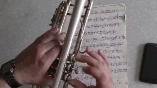 Аппликату́ры для трубы (Trumpet Helper)