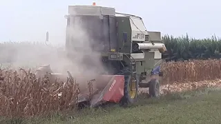 E514 Corn Harvest 2022