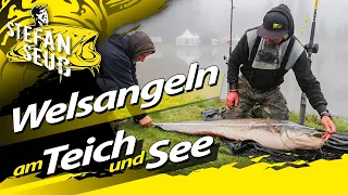 Erfolgreich Angeln auf Wels am Teich und See | Wallerangeln an kleinen Gewässern vor der Haustür